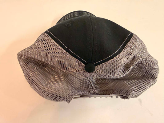 Hawks Logo "Dad" Hat